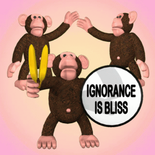 Ignorance Is Bliss Rude Monkey GIF - Ignorance Is Bliss Rude Monkey Not Aware GIFs