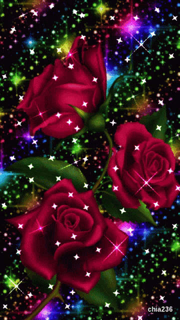 three red roses are surrounded by colorful stars and the watermark chia236