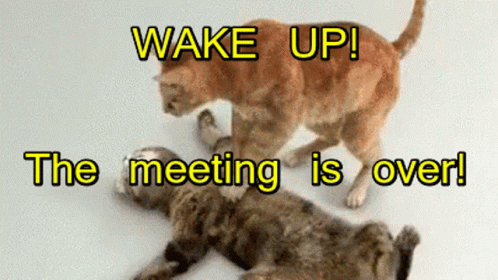Meetings Suck Wake Up GIF - Meetings Suck Meeting Meetings GIFs