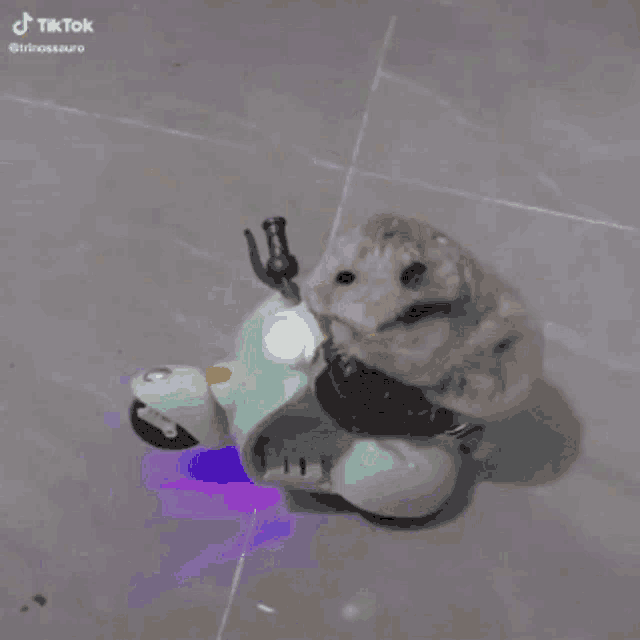 a hamster is riding a toy scooter on a tile floor