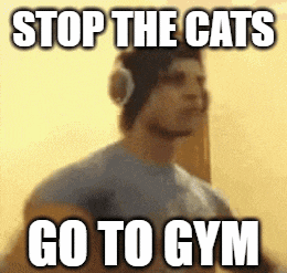 a man wearing headphones says stop the cats go to gym ..