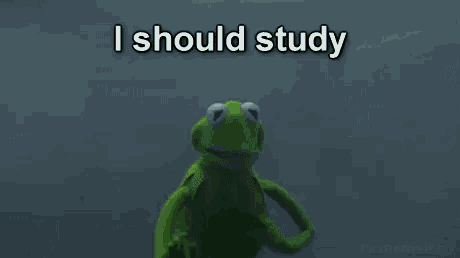 Meme You Can Study Later GIF - Meme Me You Can Study Later GIFs