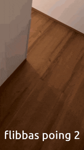 a picture of a wooden floor with the words " flibabas poing 2 " below it