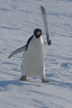 a penguin is holding a large knife in its right hand