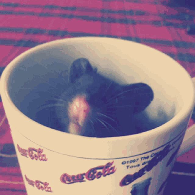 a mouse sits in a coca cola mug