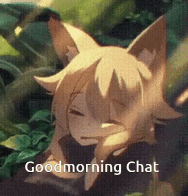 a fox sleeping in the woods with the words good morning chat written below it