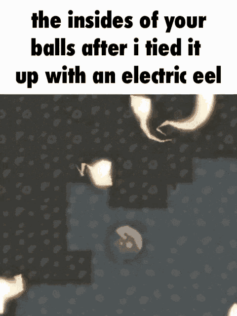 the insides of your balls after tied it up with an electric eel