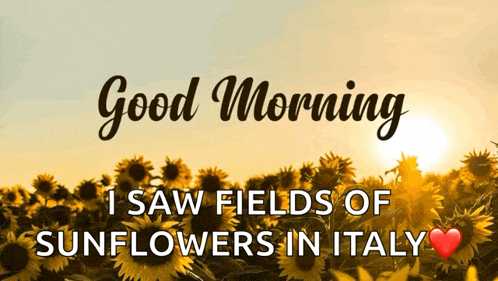 a good morning message with sunflowers in the background