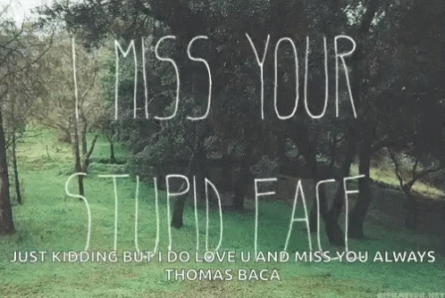 I Miss Your Stupid Face Missing GIF - I Miss Your Stupid Face Missing Miss GIFs