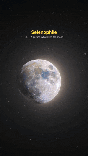 a full moon in a dark blue sky with trees in the foreground