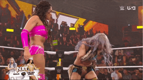 two women are wrestling in a ring with the word next on the bottom