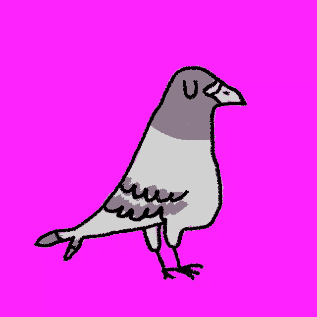 a pigeon with the letter u on its head