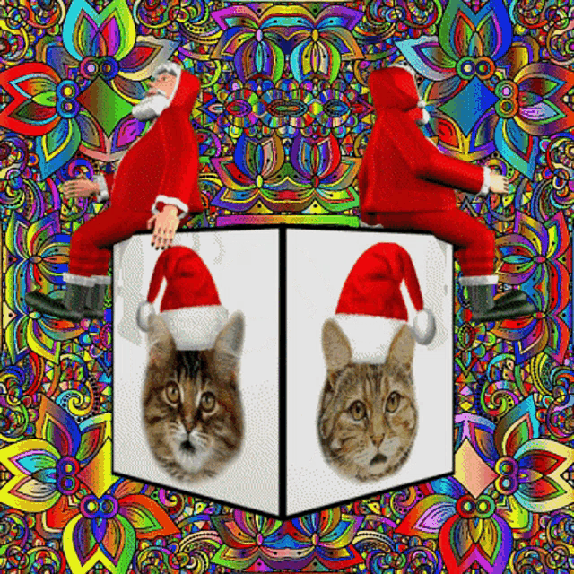Christmas Kittens Christmas Kitty GIF - Christmas Kittens Christmas Kitty Christmas Cats GIFs