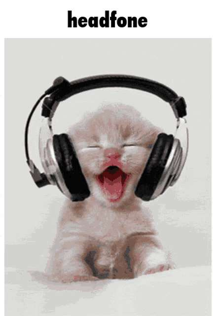 a picture of a kitten wearing headphones with the word headphone below it