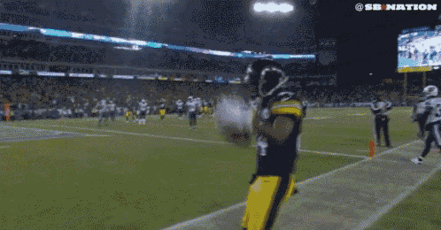 a football player is celebrating a touchdown on a field .
