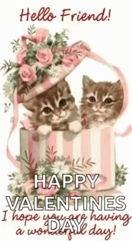 Have A Wonderful Day Hello Friend GIF - Have A Wonderful Day Hello Friend Cats GIFs