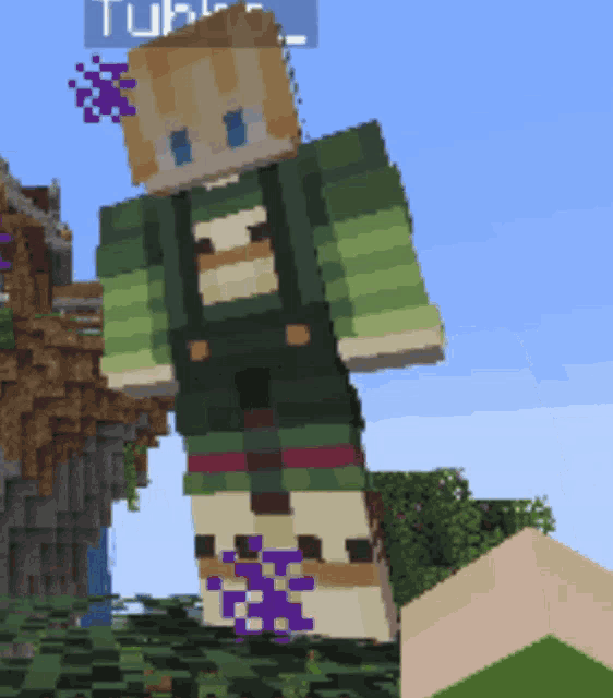 a minecraft character is standing in front of a sign that says ' tub ' on it