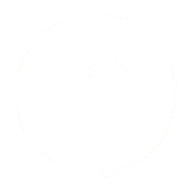a bobbo logo with a cartoon bear wearing a sombrero