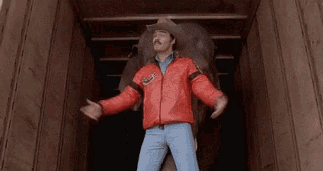 a man wearing a cowboy hat and a red jacket is standing in a truck holding an elephant .