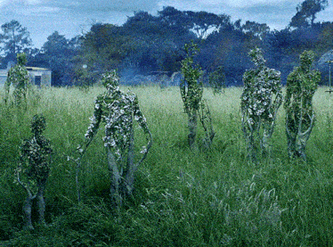 a group of people standing in a field with their bodies made of plants