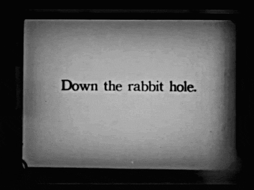 a black and white image with the words down the rabbit hole on it