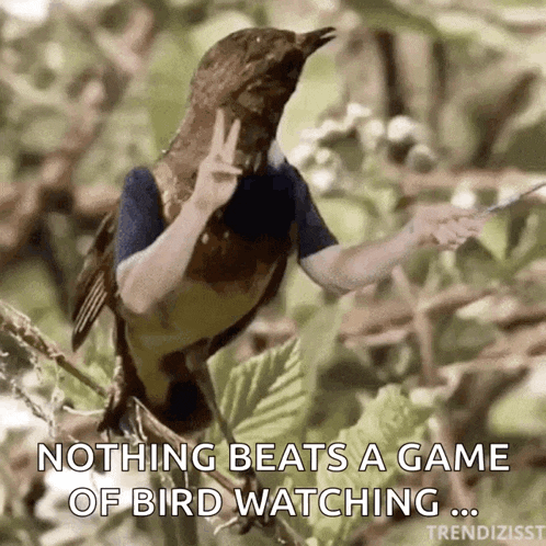 a picture of a bird with a person 's hands on it and the caption " nothing beats a game of bird watching ... "