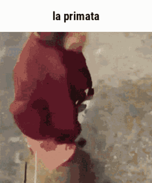 a person in a red sweater with the words la primata on the bottom right