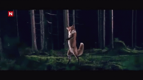 Fox Speed Up GIF - What Does The Fox Say The Fox Speedup GIFs