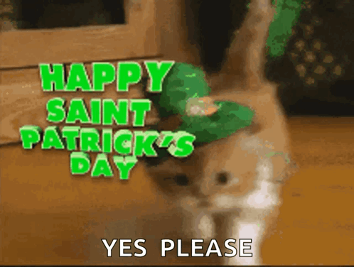 Happy Saint Patricks Day Cat GIF - Happy Saint Patricks Day Cat Kitten GIFs