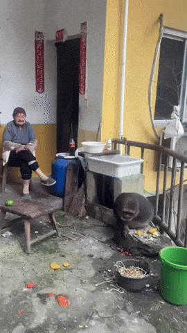 an elderly woman sits in a chair in front of a yellow wall with chinese writing on it