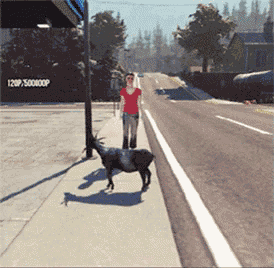 a woman walking a goat down a sidewalk with a sign that says 120p 500ioop