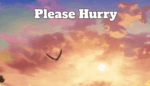 a picture of a sunset with the words please hurry