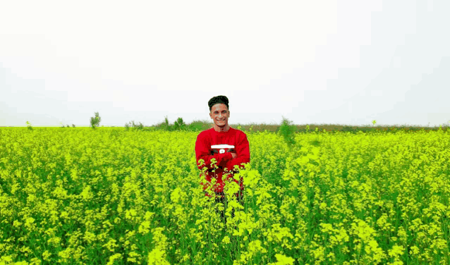 a young man in a red sweater stands in a field of yellow flowers