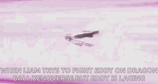 when liam trys to fight eddy on dragon ball xenoverse but eddy is laging