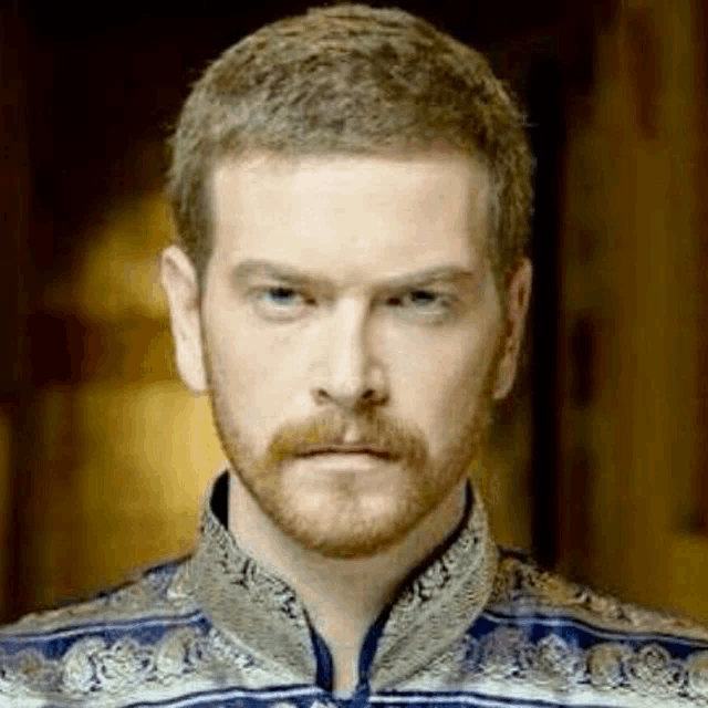 a close up of a man with a beard wearing a blue and gold shirt .