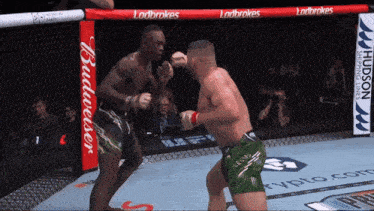 two men are fighting in a boxing ring with a budweiser banner on the fence