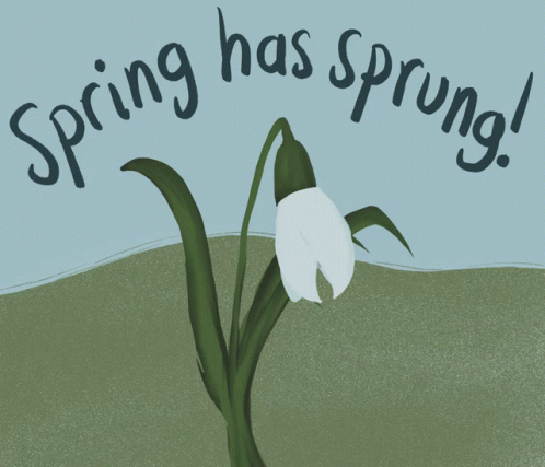 Spring Spring Has Sprung GIF - Spring Spring Has Sprung Fgfgif GIFs