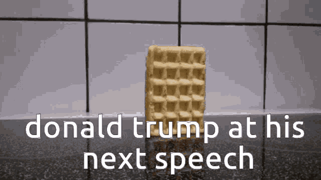 a waffle with the words donald trump at his next speech