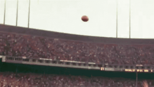 a man is catching a football in a stadium with a crowd watching .
