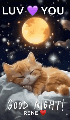 a cat is sleeping on a pillow in front of a full moon .