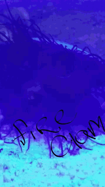 a blue background with the words fish claws written in black