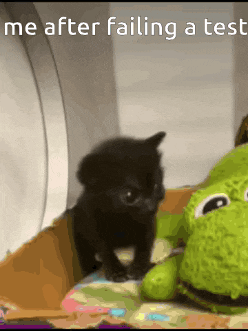 a black kitten is sitting next to a green stuffed frog with the caption me after failing a test