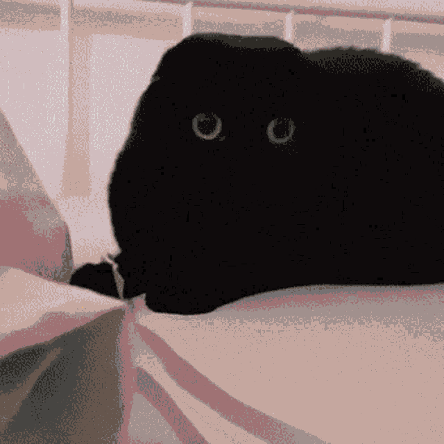 a black cat is laying on a bed with its eyes closed .