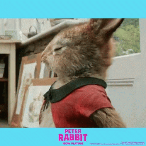 What The Heck Whattttt GIF - What The Heck Whattttt Peter Rabbit GIFs