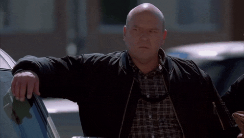 a bald man wearing a plaid shirt and a black jacket leans on a car .