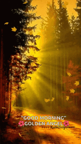 a picture of a forest with the words good morning golden angel