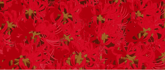 a bunch of red flowers with green leaves