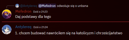 a screenshot of a text conversation between mefedron and antylereq