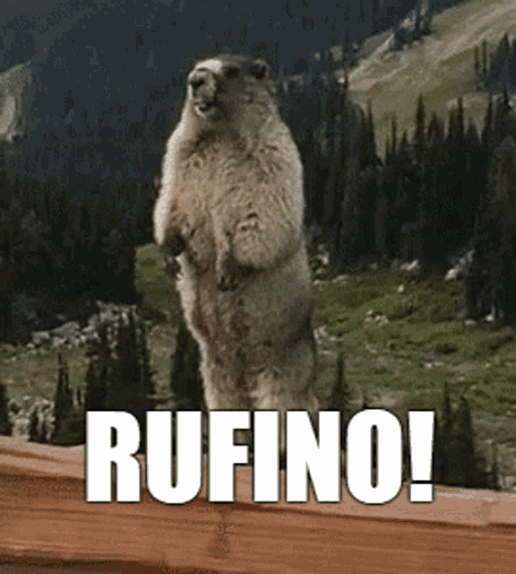 Rufino GIF - Rufino GIFs