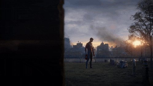 a man in a superhero costume stands in a cemetery with a city in the background